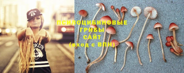 соль ск Нефтекумск