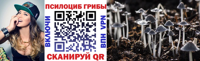 купить   Магнитогорск  Псилоцибиновые грибы Psilocybine cubensis 