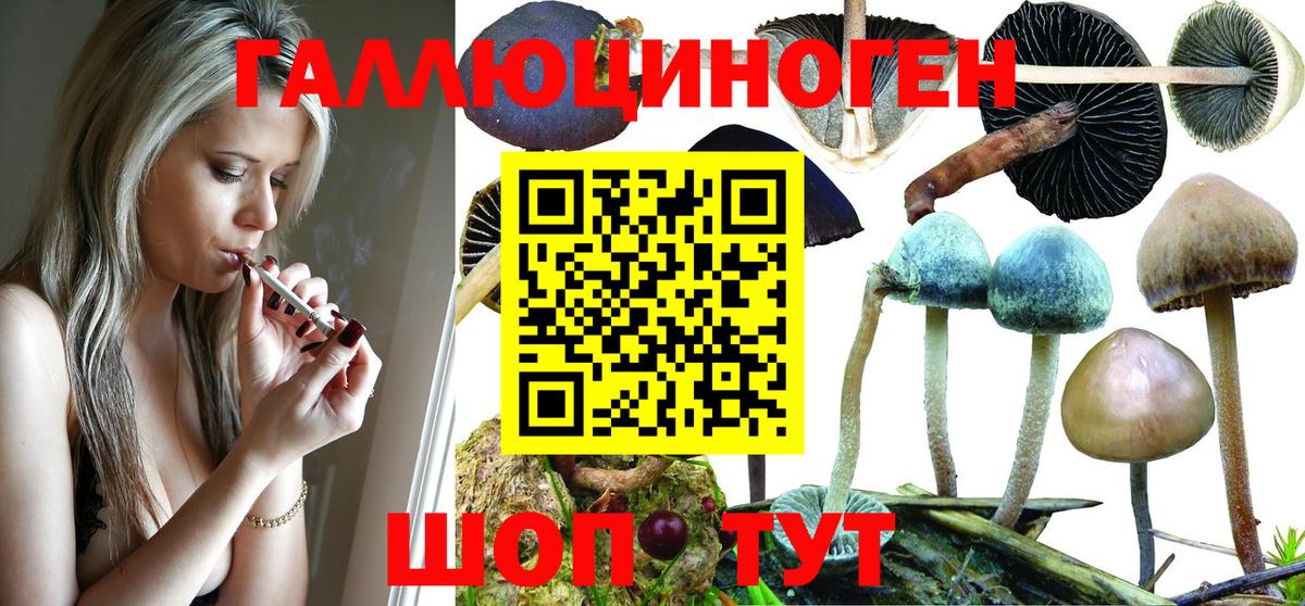 Галлюциногенные грибы Psilocybe  Вход с VPN  Магнитогорск  Галлюциногенные грибы мухоморы 