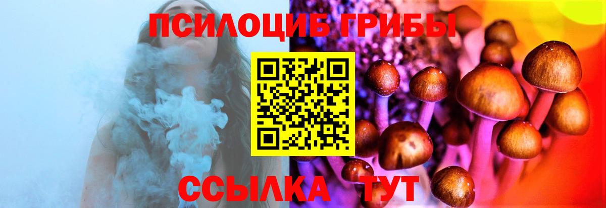 Галлюциногенные грибы прущие грибы Магнитогорск